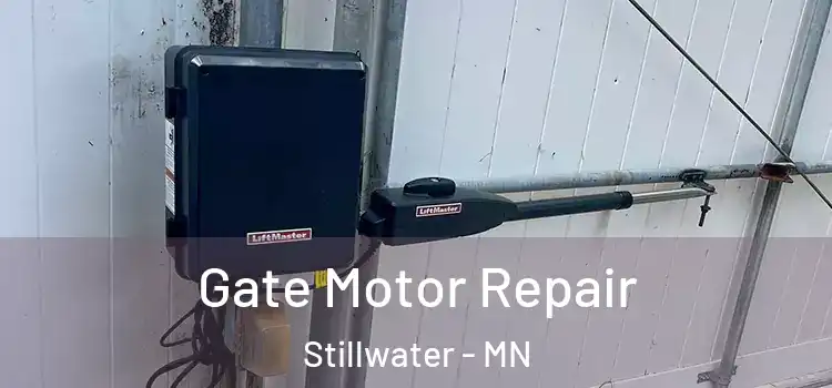 Gate Motor Repair Stillwater - MN