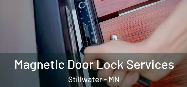 Magnetic Door Lock Services Stillwater - MN