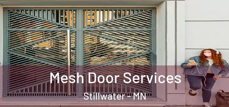 Mesh Door Services Stillwater - MN