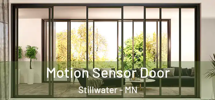 Motion Sensor Door Stillwater - MN